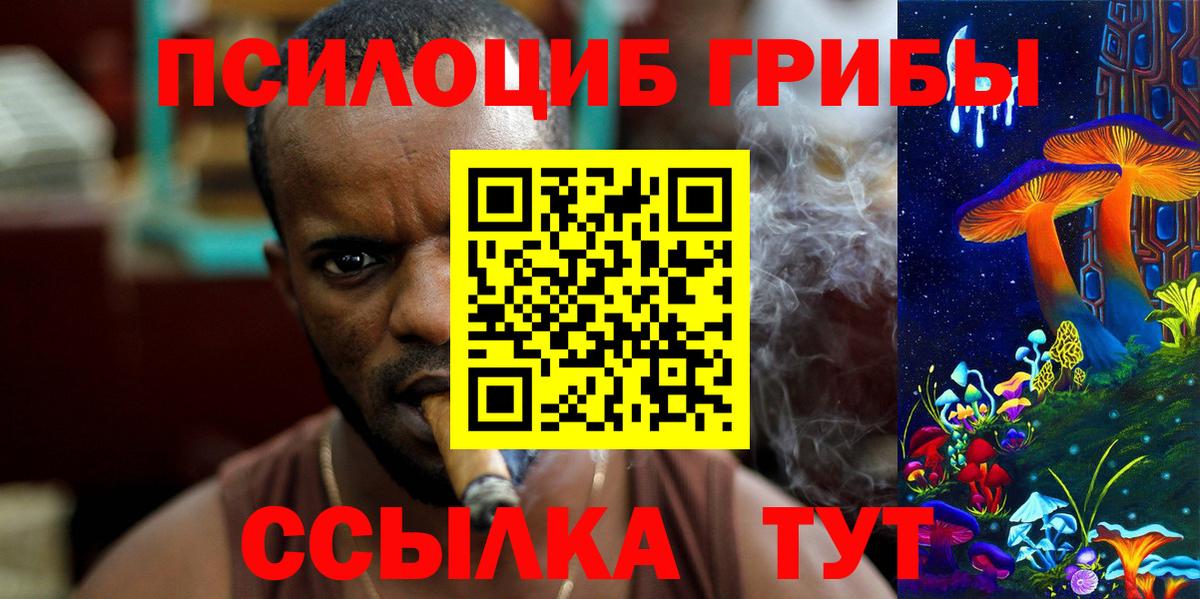 Псилоцибиновые грибы Psilocybe Татарск