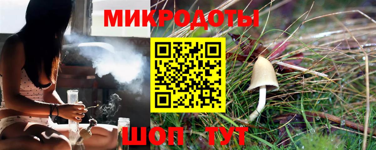 Галлюциногенные грибы Psilocybe  Вход с VPN  Татарск 